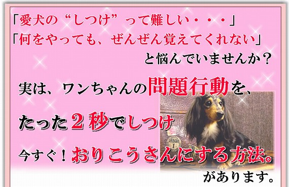 「愛犬のしつけって難しい・・・」「何をやっても、ぜんぜん覚えてくれない」と悩んでいませんか？実は、ワンちゃんの問題行動を、たった２秒でしつけ　今すぐ！　おりこうさんにする方法。があります。